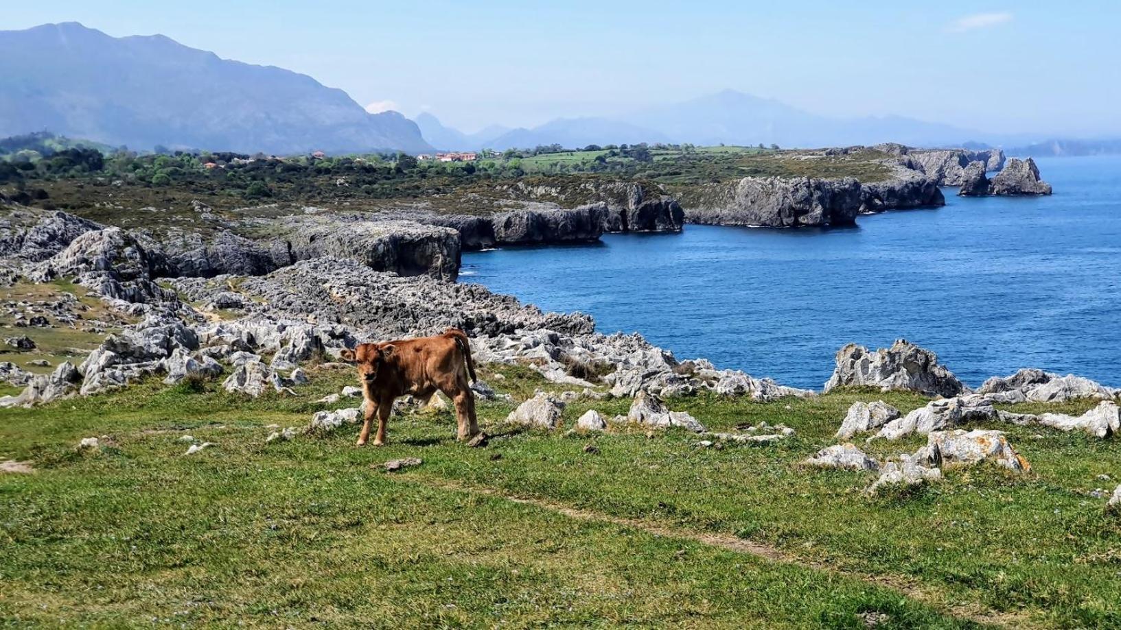 Willa Casa Vacacional Paula Llanes Zewnętrze zdjęcie